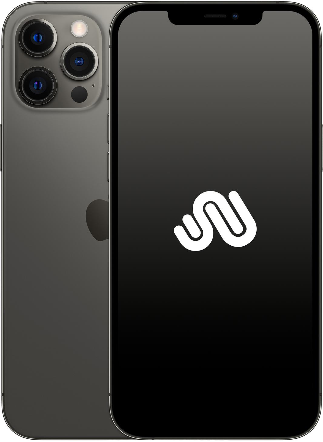 iPhone 12 Pro Max | 256 Go