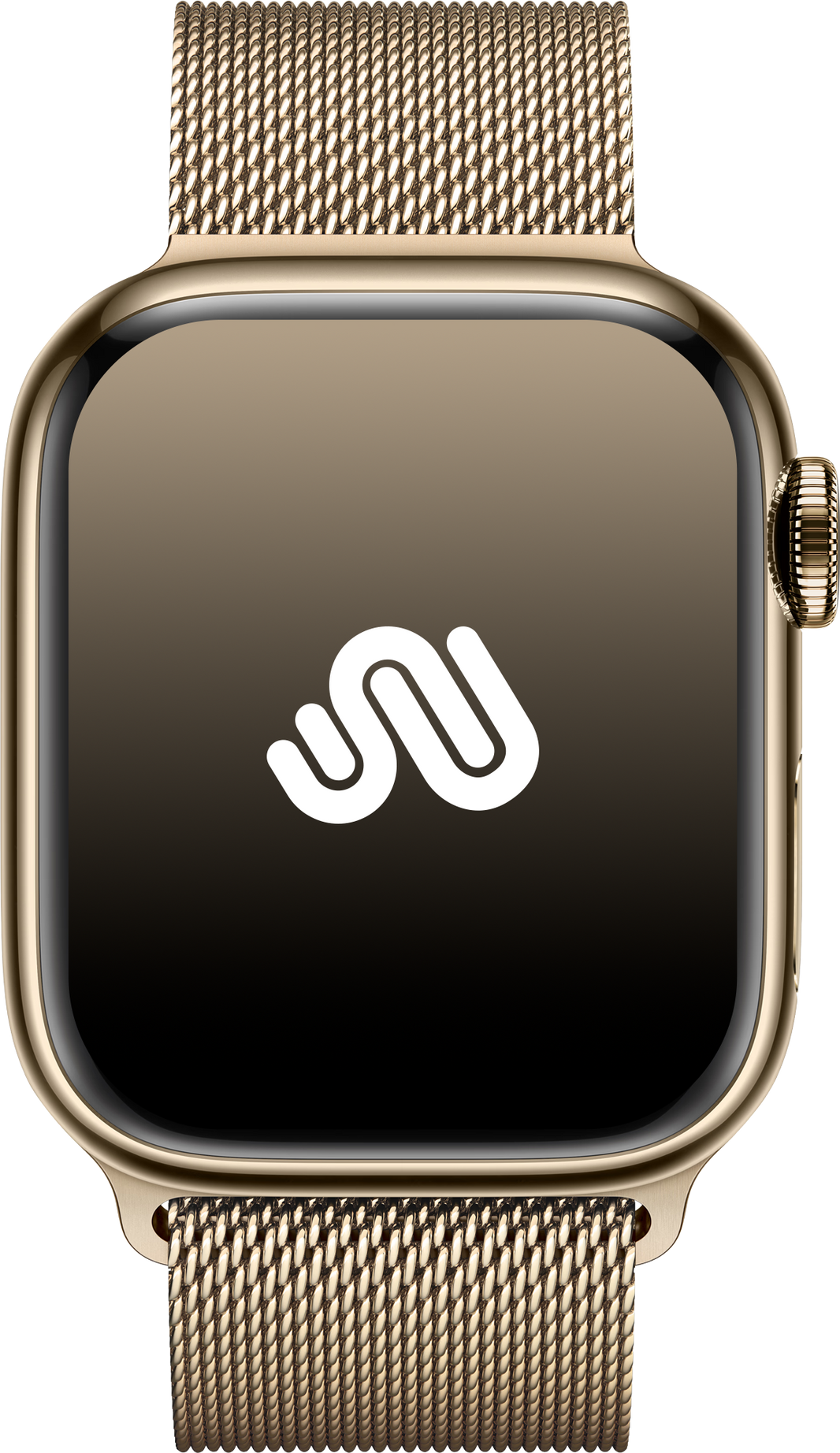 Apple Watch Series 7 | GPS + Cellular | Stainless Steel
